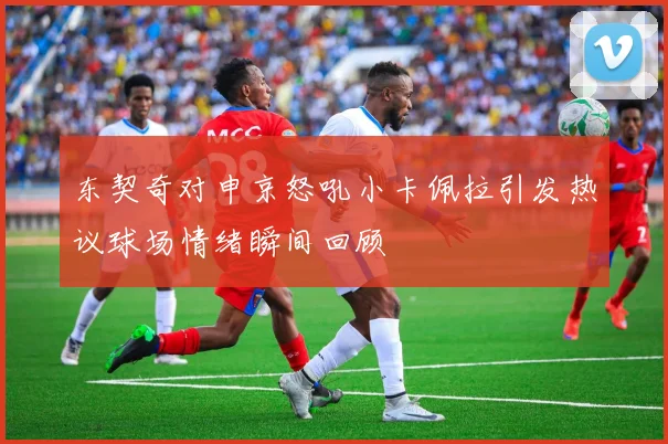 东契奇对申京怒吼小卡佩拉引发热议球场情绪瞬间回顾