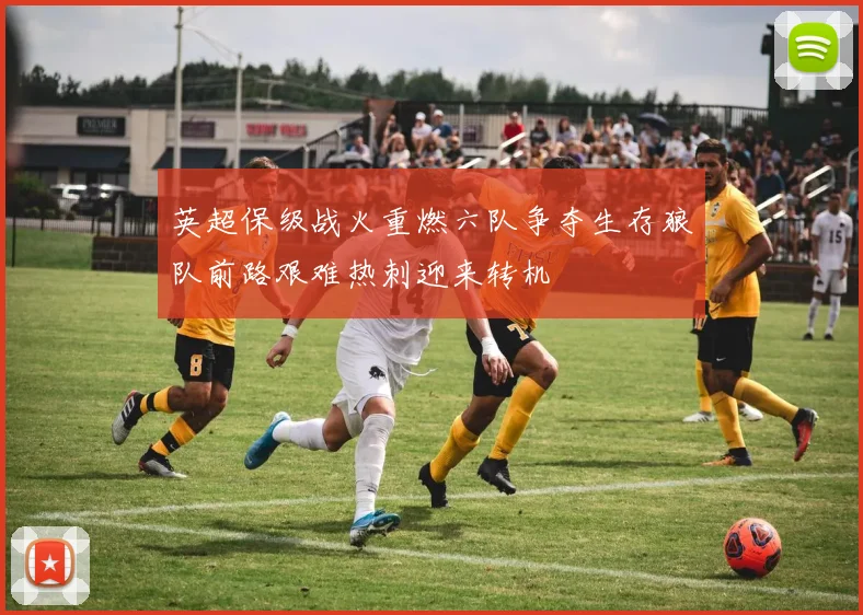 英超保级战火重燃六队争夺生存狼队前路艰难热刺迎来转机